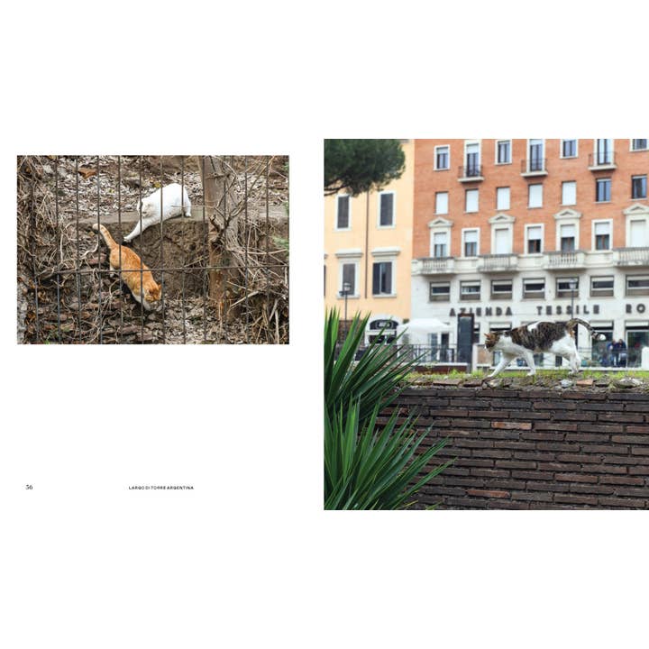 Chronicle Books - Wholesale Pets - Cats of Rome11