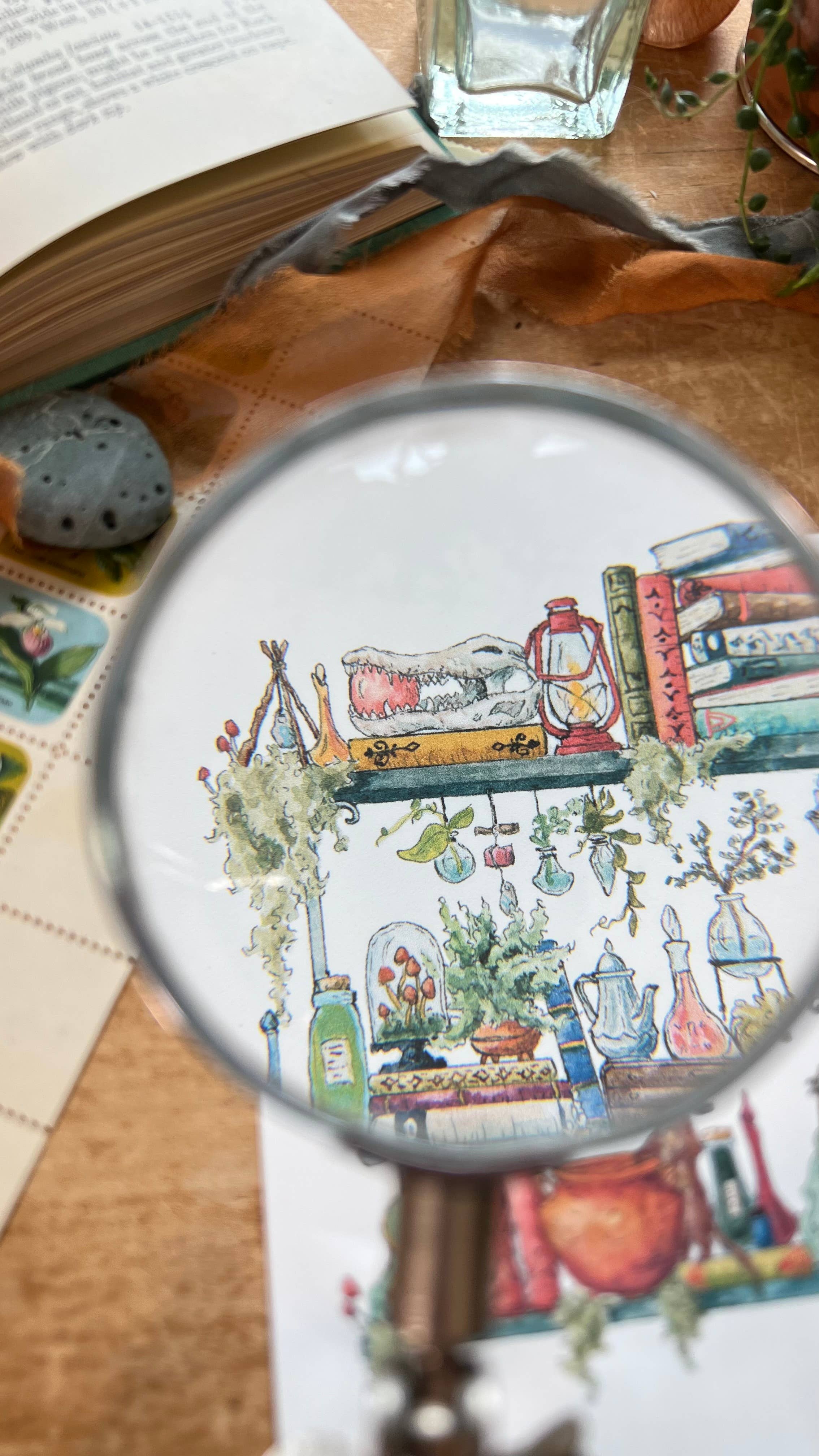 Lizzy Gass - Wholesale Postcard - The Swamp Witch's Shelves Postcard6