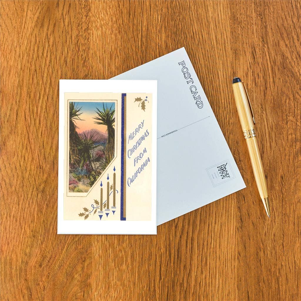 Found Image Press - Wholesale Postcard - Postcard CC-10 Yuccas1