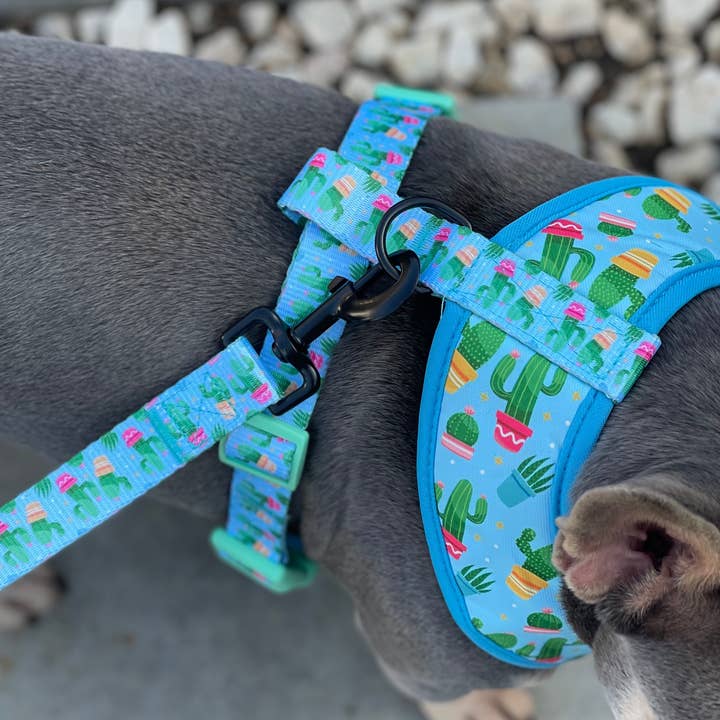 Pettorina reversibile Mighty Pooch - Cactus 🌵 per la vendita all'ingrosso da parte di Mighty Pooch