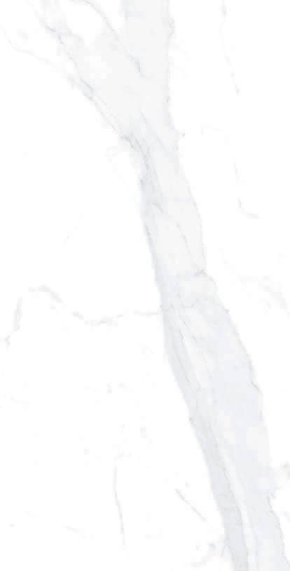 Thomas Avenue Ceramics - Wholesale Wall Tile - 12"x24" Porcelain Calacatta Cool Floor and Wall Tile10