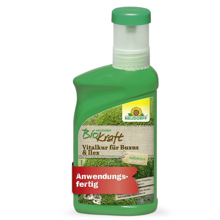 BioKraft Cure Vitale pour Buxus & Ilex – Fortifiant pour plantes à feuillage persistant – Soutient la vitalité en cas de gel et de sécheresse – Pour des feuilles et des pousses vigoureuses pour la vente par Oasis of Life