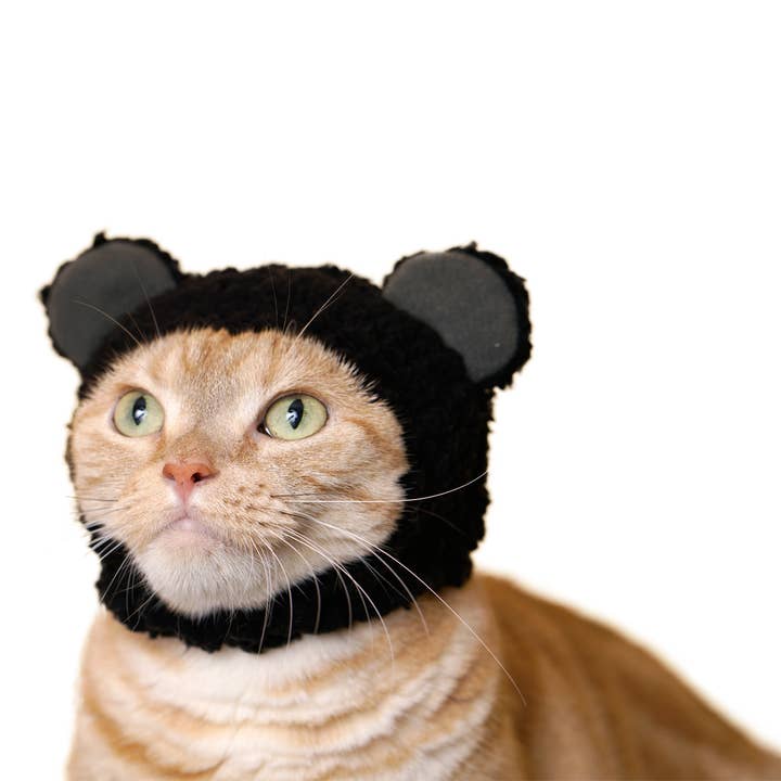 Clever Idiots Inc. - Vendita all'ingrosso Costume da carnevale - Gatti - Kitan Club - Cuffia per gatti, motivo: orso