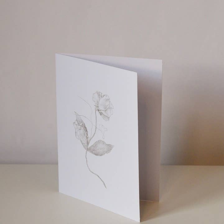 Sam Callery Art - Wholesale Everyday Greeting Card - Sweet Pea Stem Greeting Card