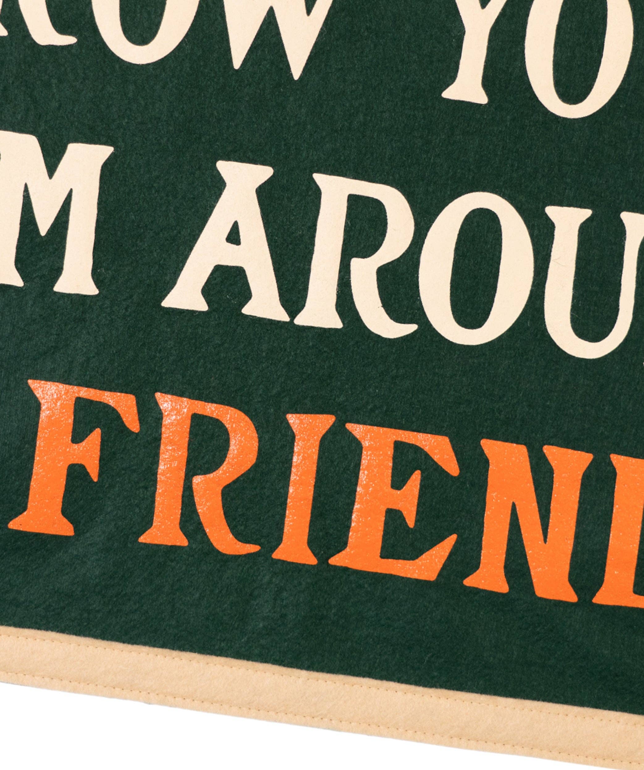 Oxford Pennant - Wholesale Flag - Throw Your Arm Around A Friend Camp Flag • Billy Strings x Oxford Pennant3