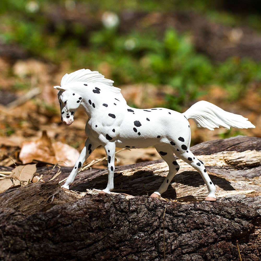 Safari Ltd. - Wholesale Figurine Toy - Kids - Knabstrupper - 1529055