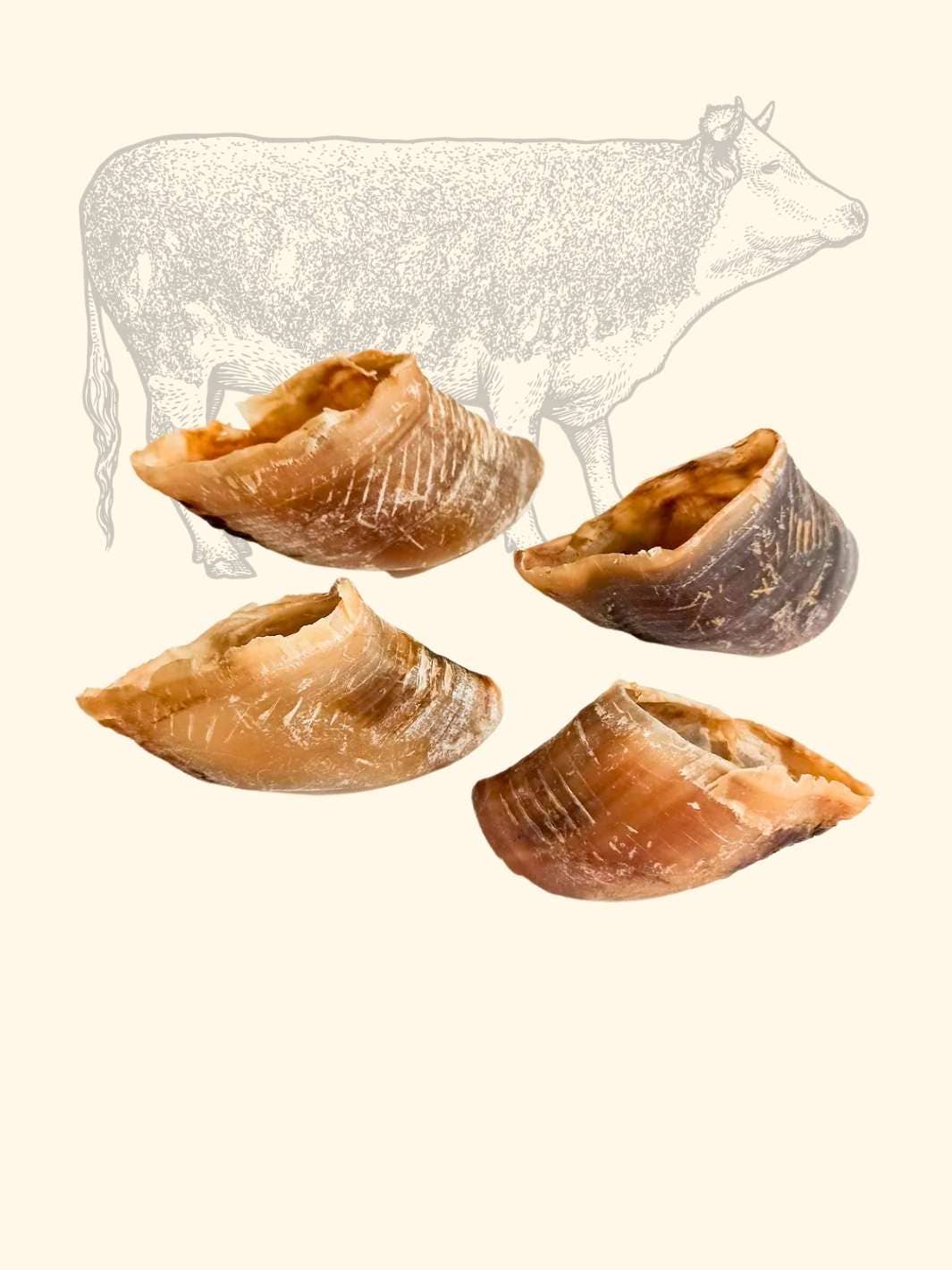 Truffe Délice - Venta al por mayor Hueso/rollito masticable - Perros - Zueco de buey4