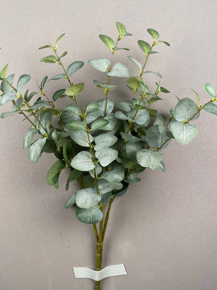 LARGE EUCALYPTUS BUSH X12 - 12473 for wholesale by General Wholesale Inc