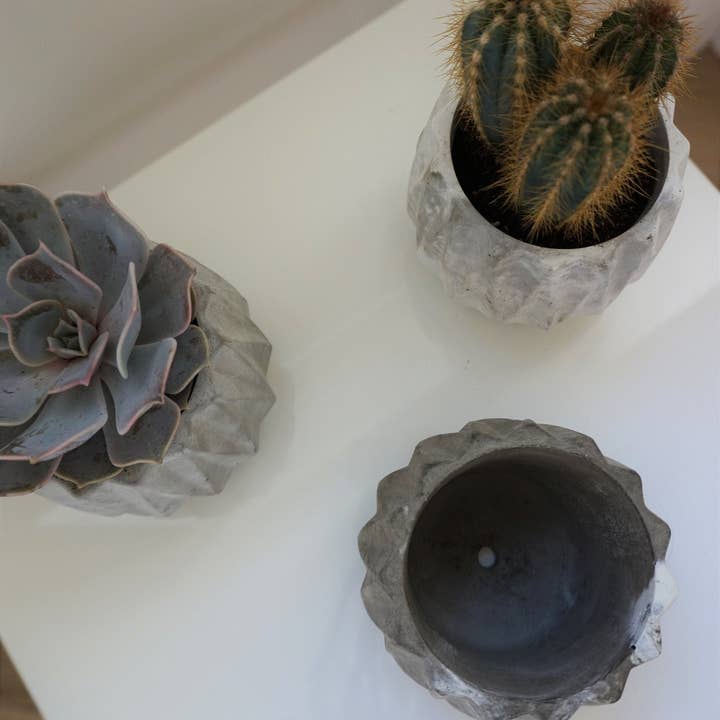 Concreates – wholesale Plant pot – Concrete Geometric Plant Pot | Cactus | Succulent | Planter | Monochrome Planter | Boho Decor | Boho Plant Pot4
