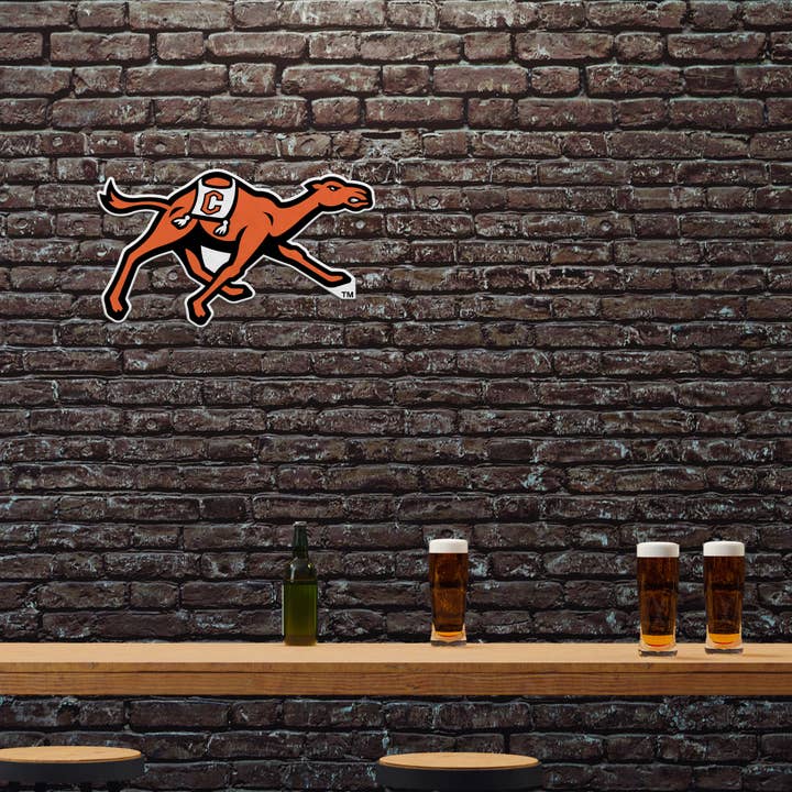 Rico Industries - Wholesale Sign - NCAA Campbell Fighting Camels Shape Cut Pennant1