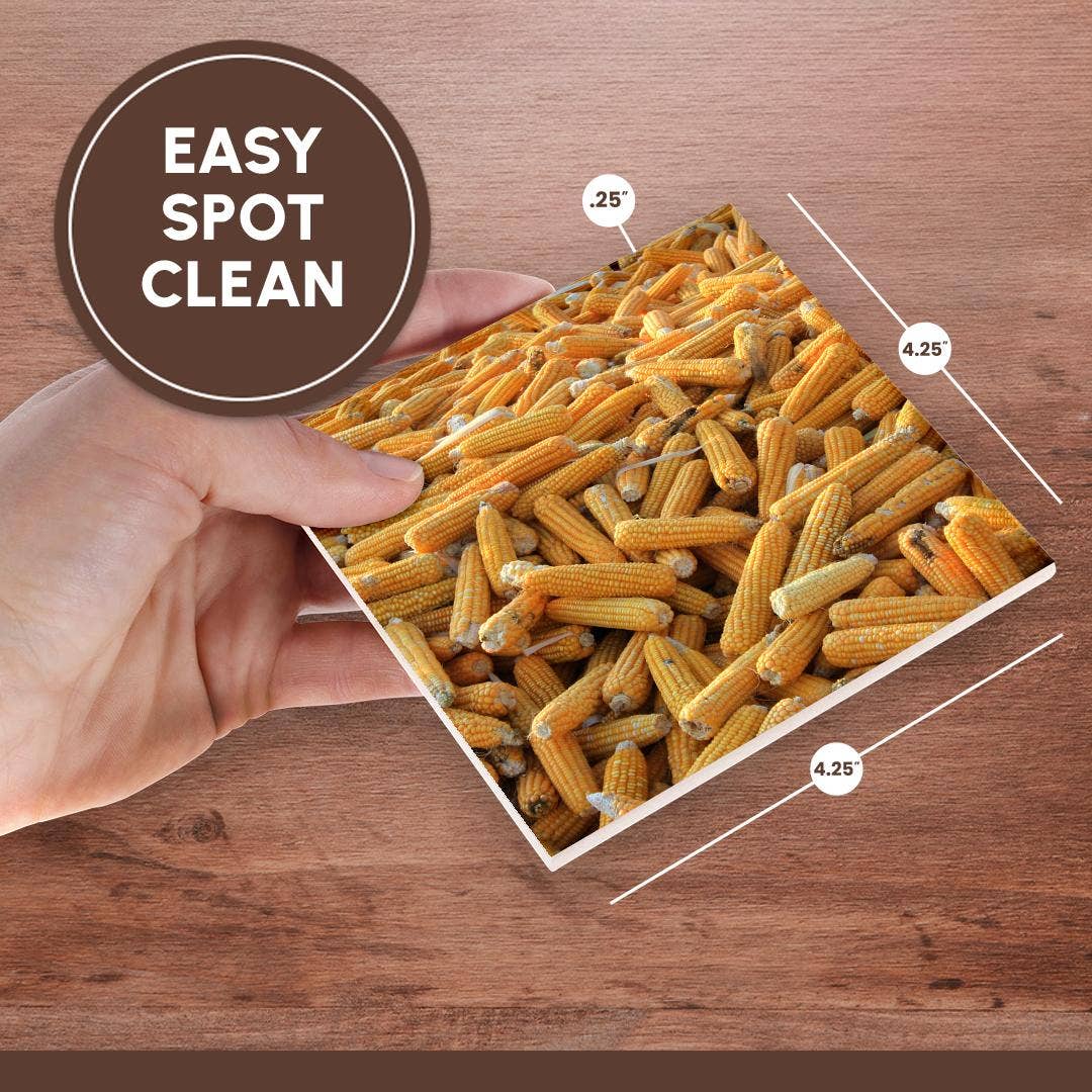 3dRose – wholesale Coasters – 3dRose, Raw Organic Husked Sweetcorn Seed Drying In The Sun, Coaster6