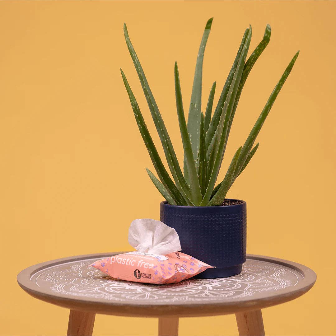 WYLD CUB – Material de limpeza para animais de estimação por atacado – Toalhetes para Animais Compostáveis – À Base de Plantas, Naturais e Seguros para Animais de Estimação da Adios5