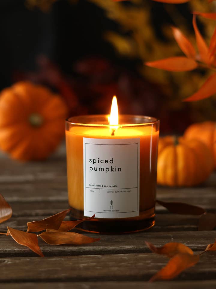 Vela de soja grande de calabaza especiada para venta al por mayor de Den Perfect