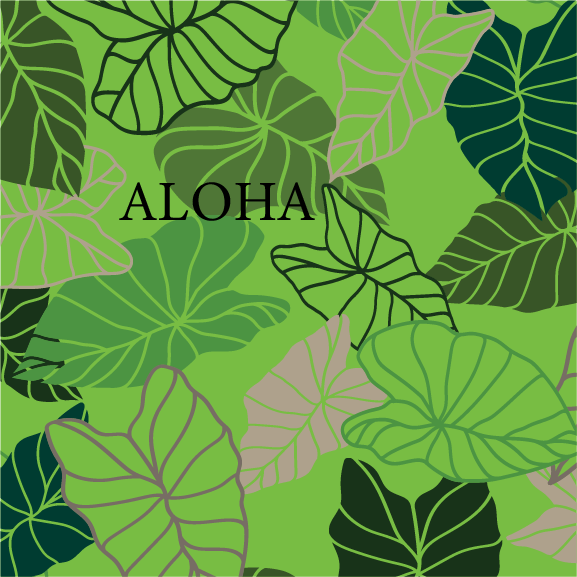 Adventure Hawaii – Engroshandel Lommelærke – Kalo | 16 oz vakuumisoleret flaske3