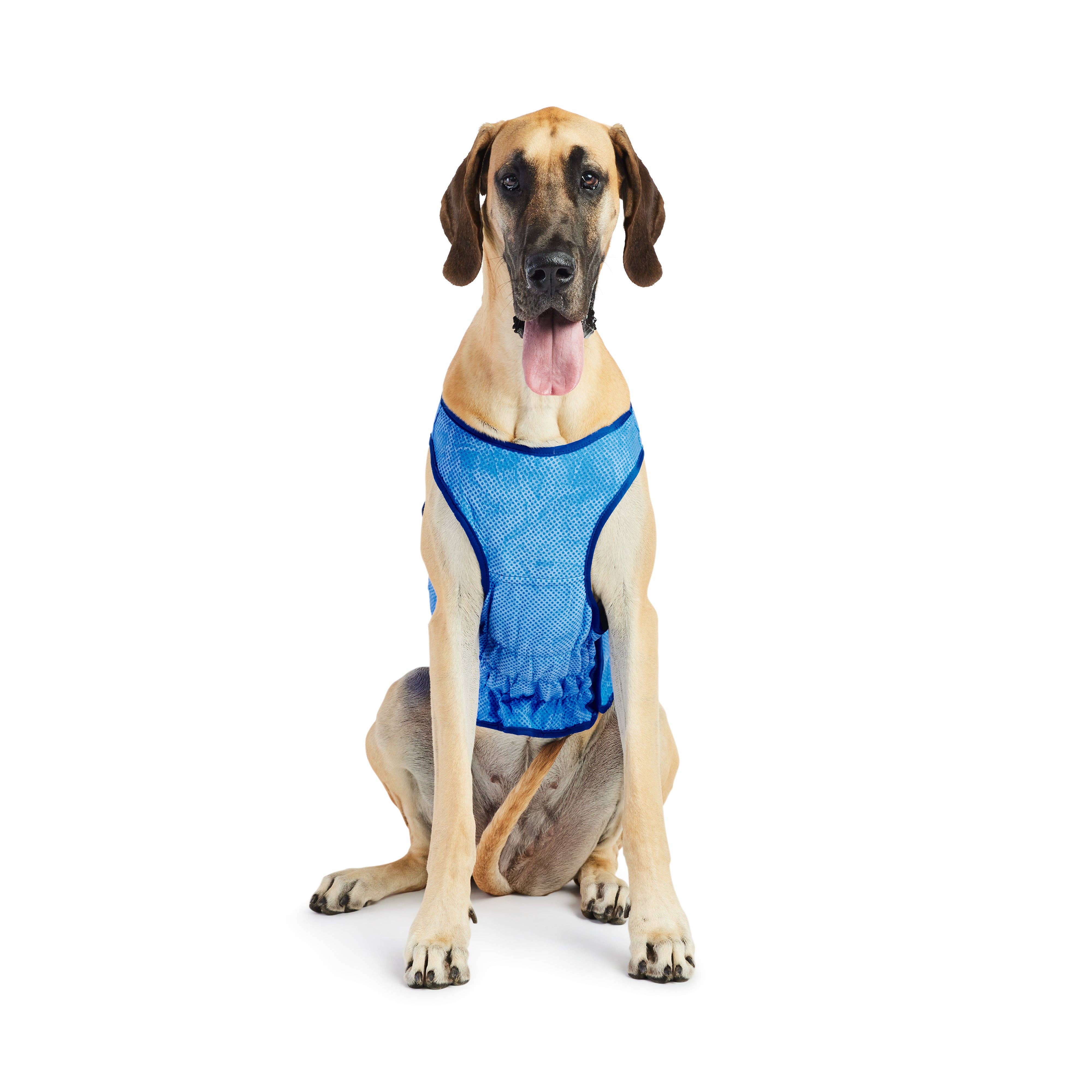 GF Pet – Engroshandel Vest - Hund – Elasto-Fit Isvest - Blå3