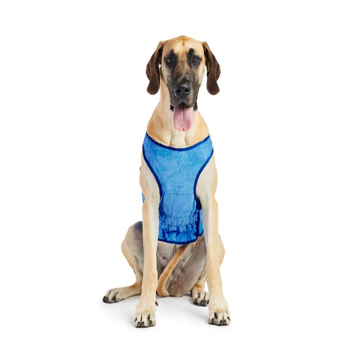 GF Pet – Engroshandel Vest - Hund – Elasto-Fit Isvest - Blå3