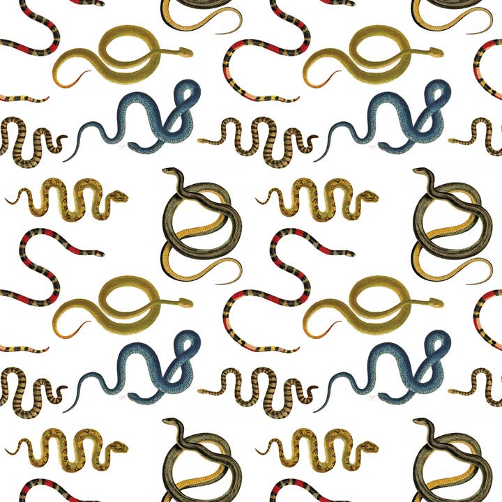 Feuille de papier cadeau Snakes pour la vente par Fairhope Graphics