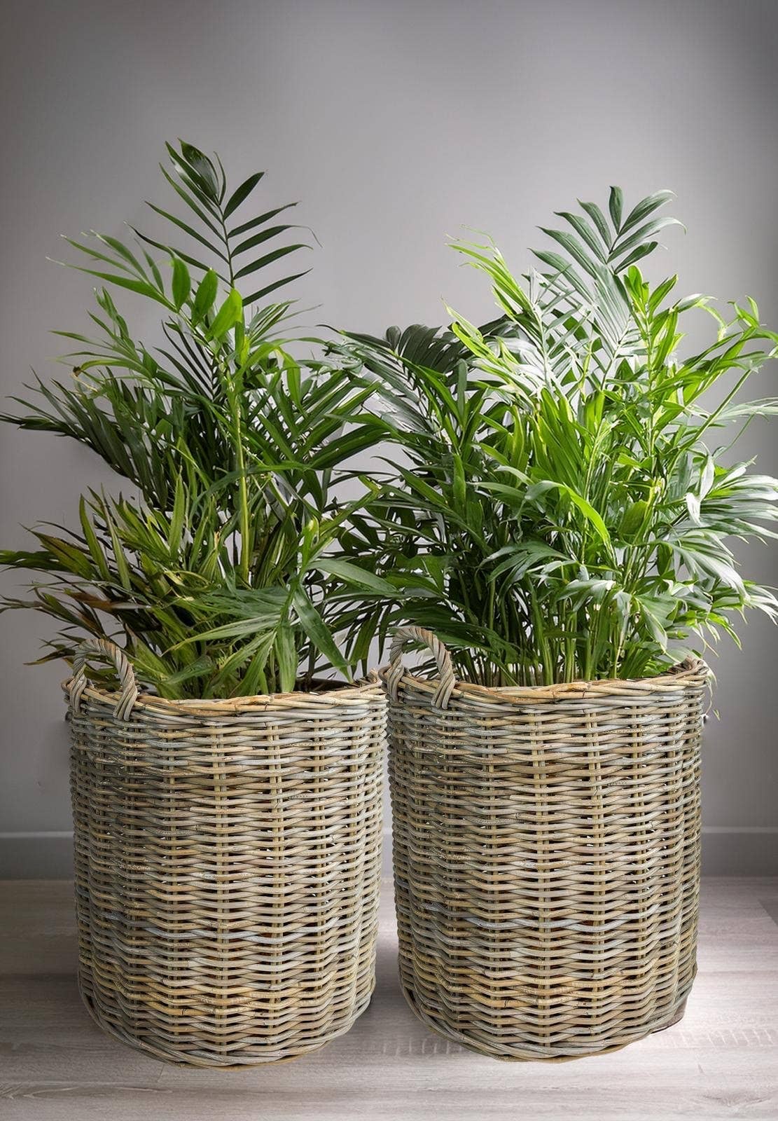 Grey Set of 2 Round Rattan Baskets for wholesale on Faire6
