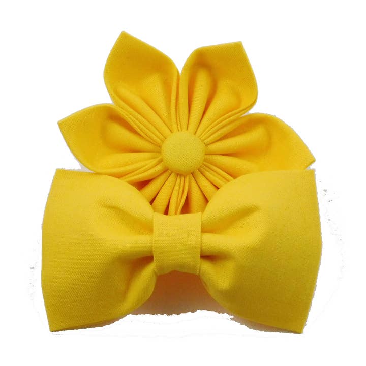 Gelbe Everyday Dog Fliege und Halsband Blume für den Großhandel von Charlotte's Pet