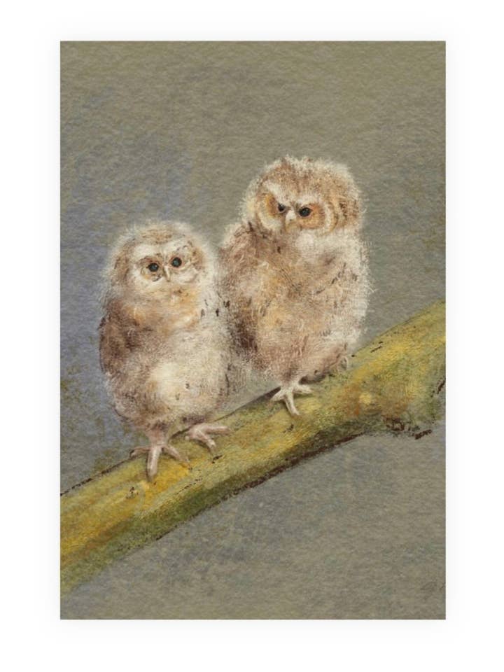 Owls Standard Postcard for wholesale by Grey Grimm