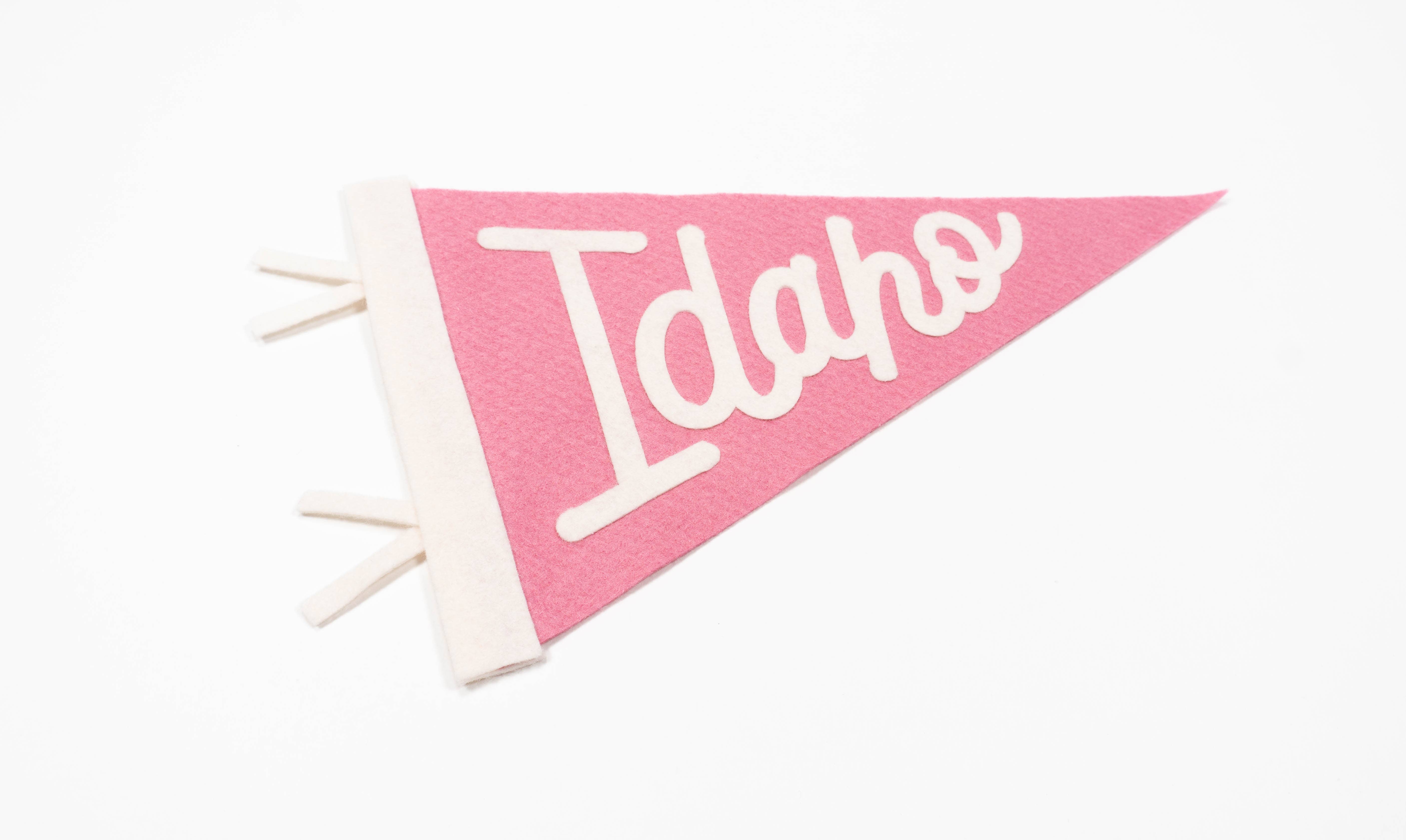 traveldashery - Wholesale Banner - idaho pennant7