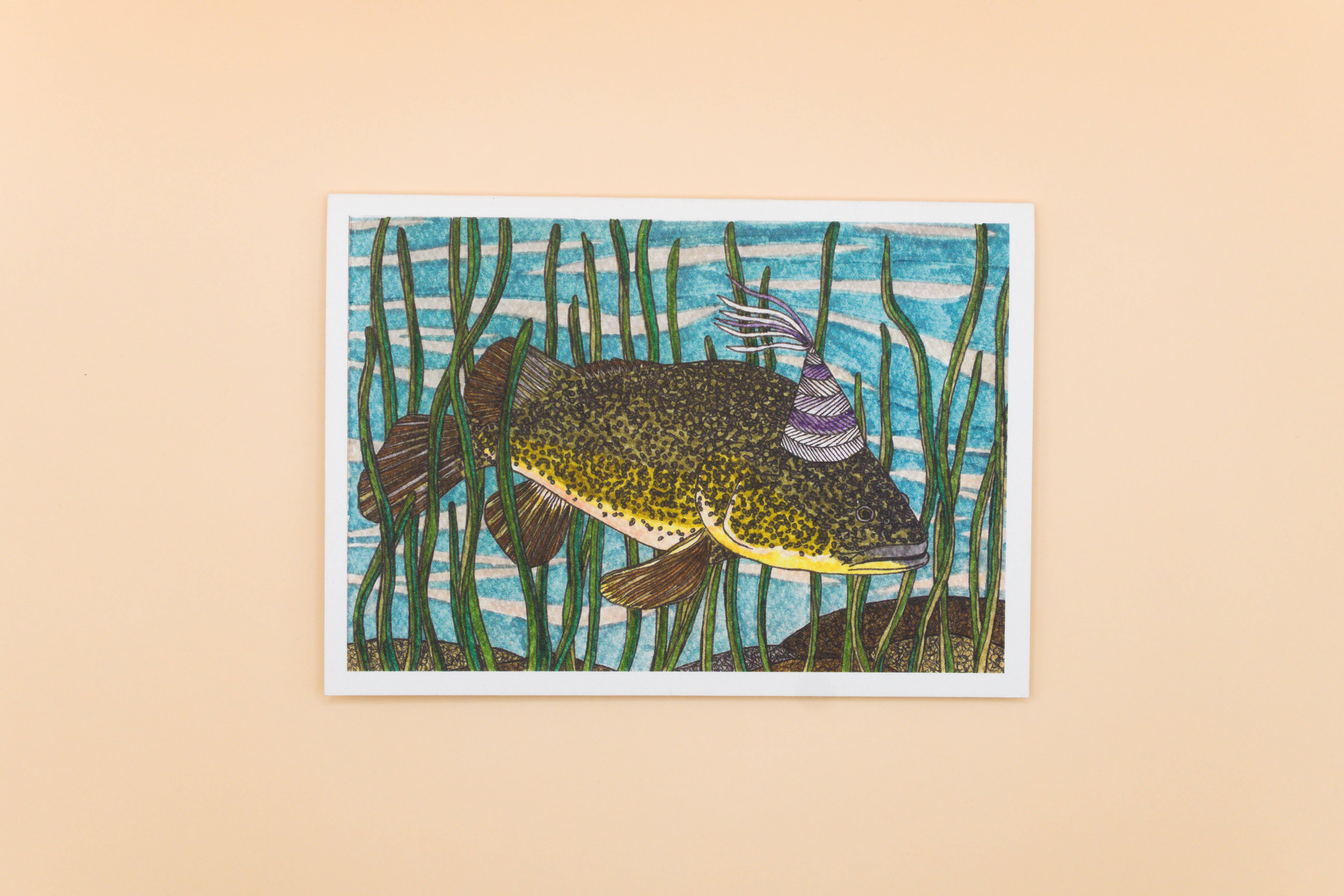 Sunshine Sea Art - Wholesale Birthday card - Murray Cod Greeting Card Australian Fish Birthday Eco Card