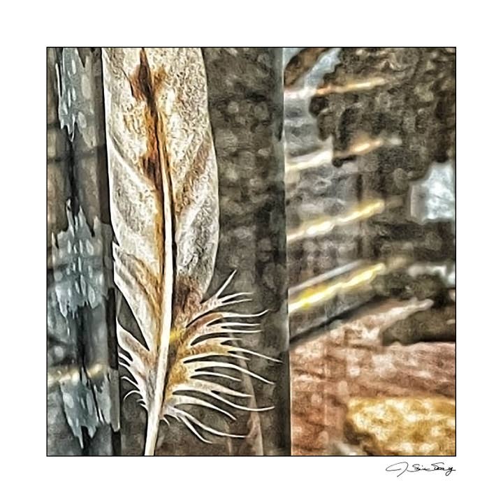 Greenville for wholesale by Signature Image Gallery