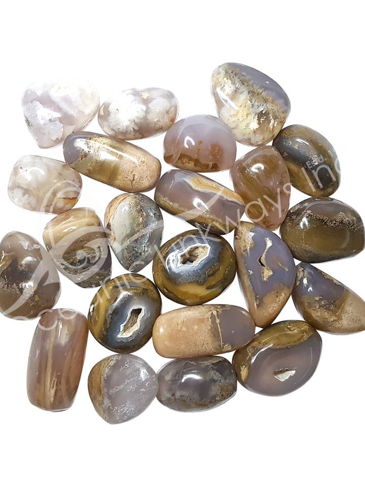 (KG)TUMBLED STONES - PETRIFIED WOOD, OPALIZED 20-30 MM for wholesale by Oceanic Linkways Inc