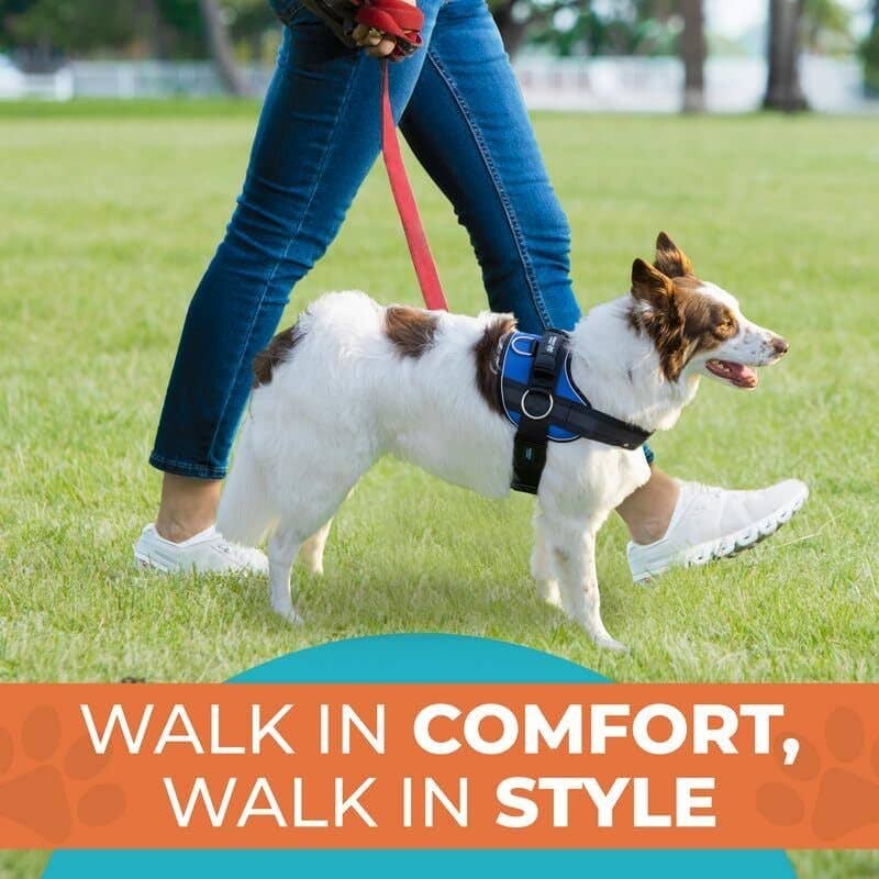 Joyride Harness - Wholesale Pet Harness - Dog - Grass Green Joyride Premium Advanced Dog Harness 2.01