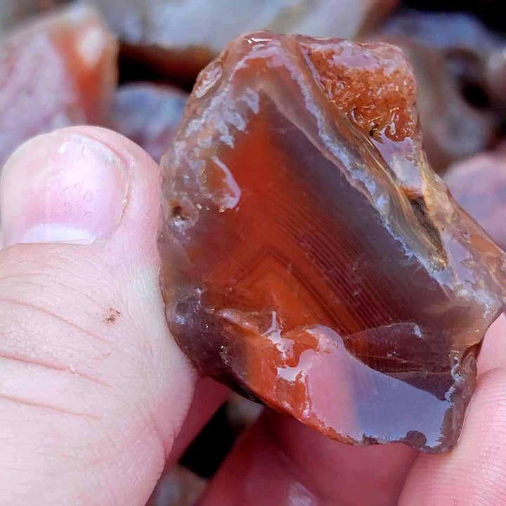 Lapidary Central - Wholesale Spiritual Stone/Crystal - Random Pull Swazi Agate Rough Chunks! Great for Tumbling! Swali Agate