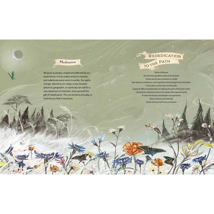 Simon & Schuster - Wholesale Book - Adult - Green Witch Illustrated by Arin Murphy-Hiscock