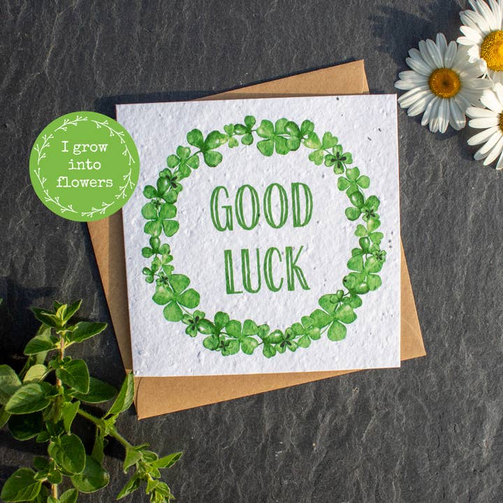 Plantable Greetings Day Card - Good Luck for wholesale by The Naughty Shrew