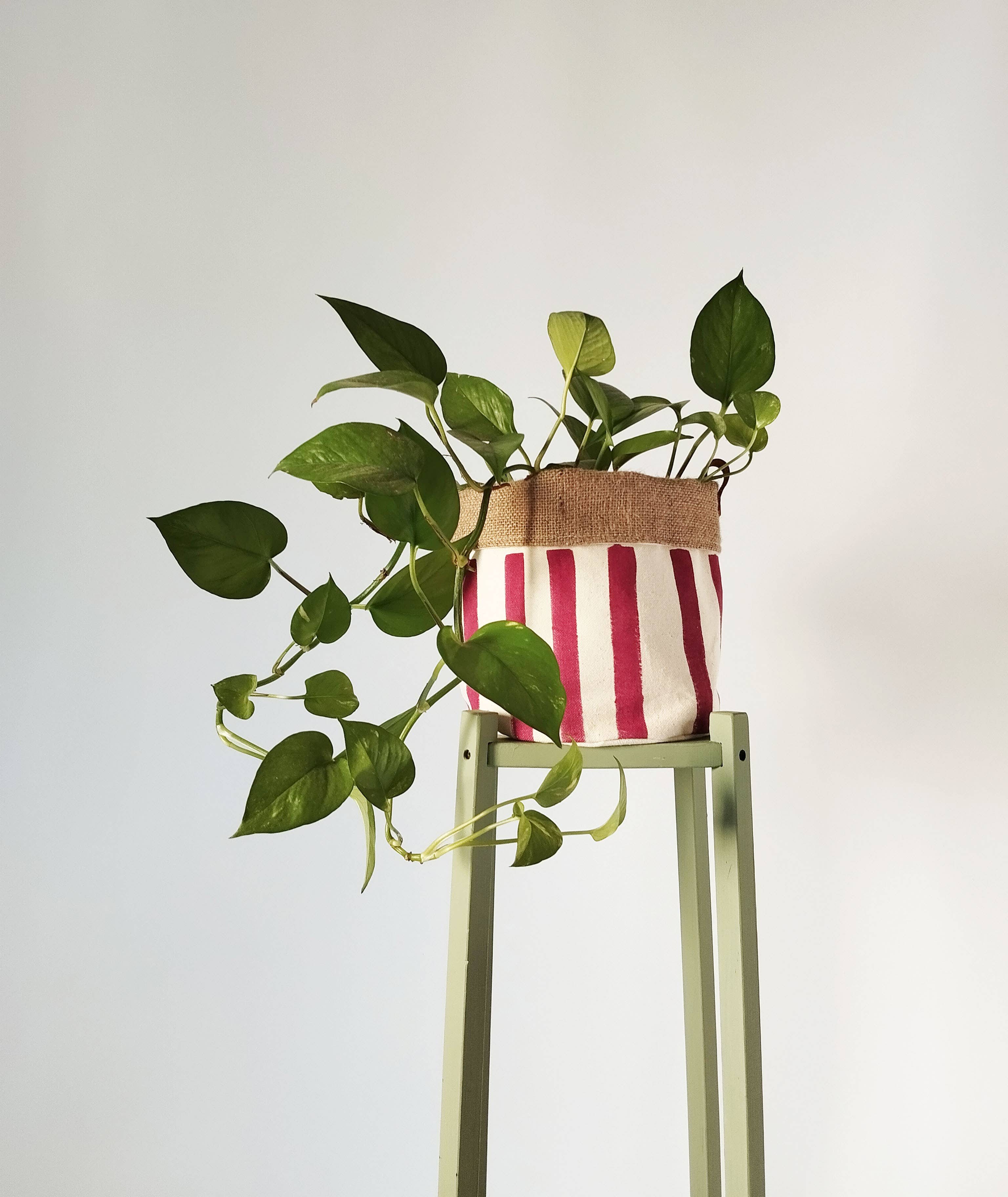 The Ink Job – Engroshandel Plantekrukke – Mellemstor indendørs plantepotte med striber1