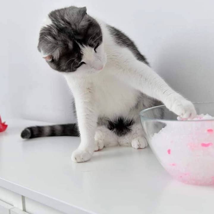 Calitti - Wholesale Cat Litter - Calitti CRYSTALS 8 lb Unscented Non-Clumping Cat Litter8