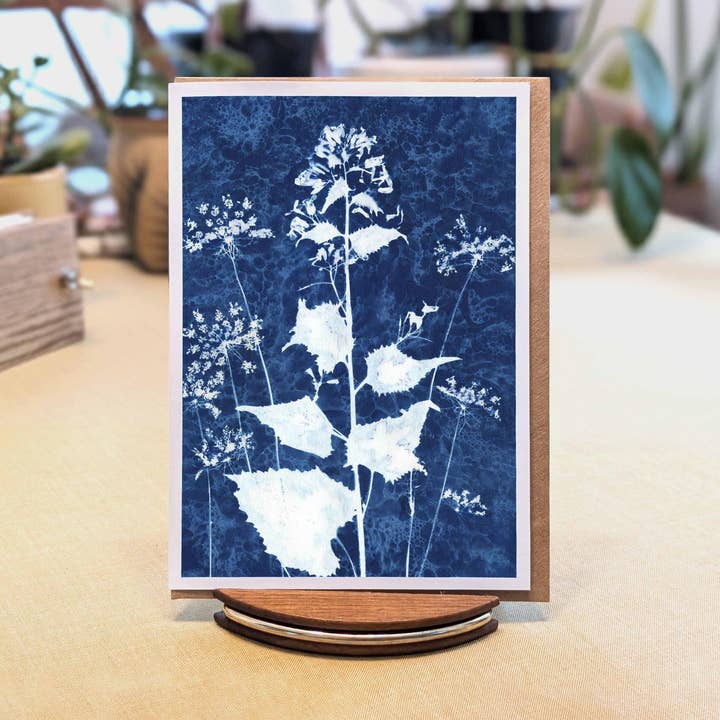 Cyanotype - Honnêteté & Fleurs de carotte sauvage - Carte Giclée pour la vente par Cascade Press