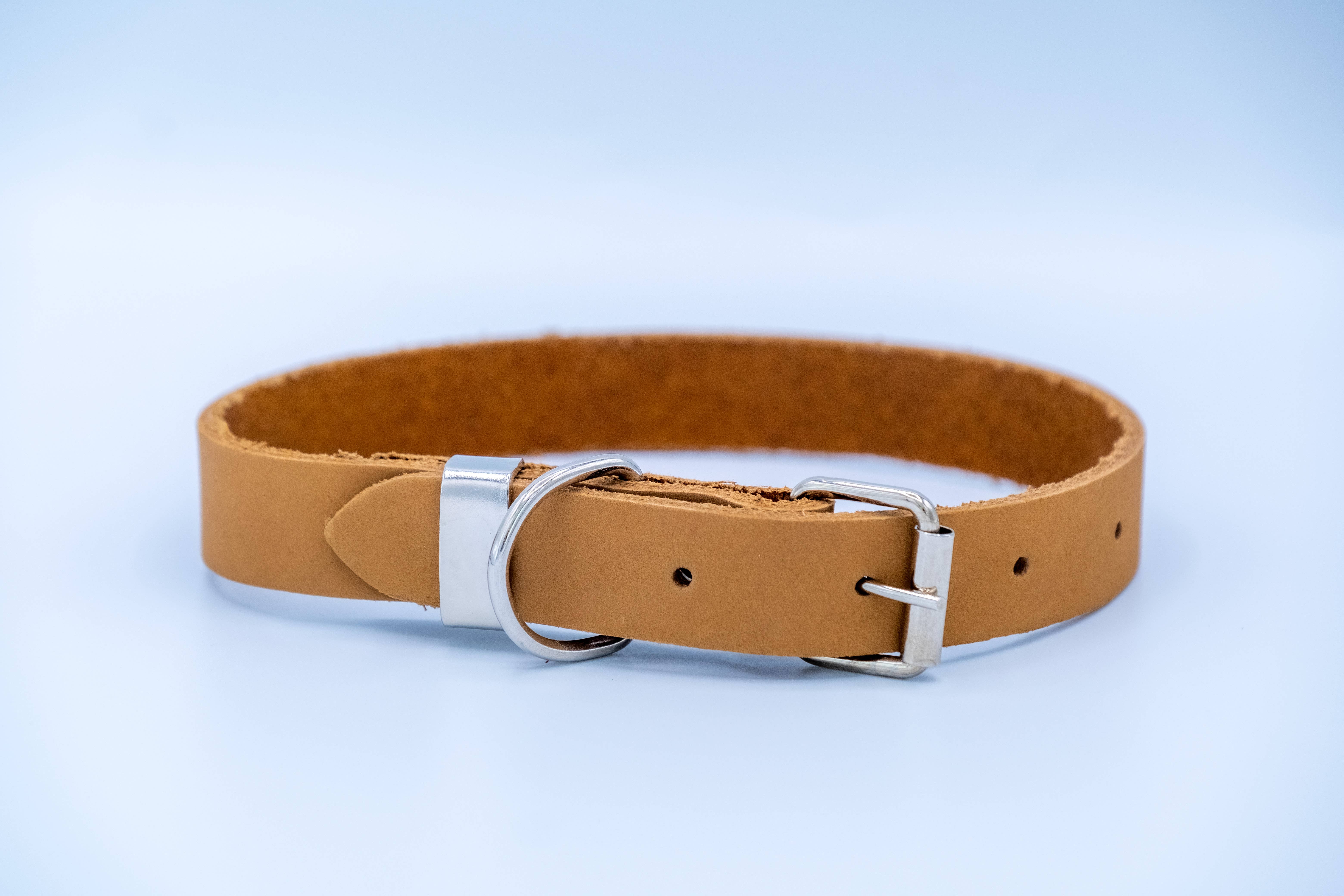 Euro-Dog Collars and Leads – Großhandel Haustierhalsband – Hund – Lederhundehalsband Weicher Zen-Stil Stahlverschluss10