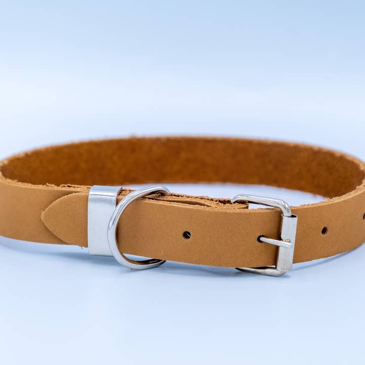 Euro-Dog Collars and Leads – Großhandel Haustierhalsband – Hund – Lederhundehalsband Weicher Zen-Stil Stahlverschluss10