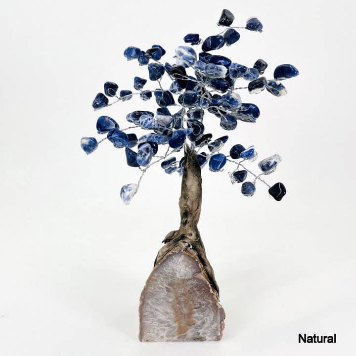 Rock Paradise - Wholesale Spiritual Stone/Crystal - Sodalite Crystal Tree on Agate Geode Base - You Choose Color9