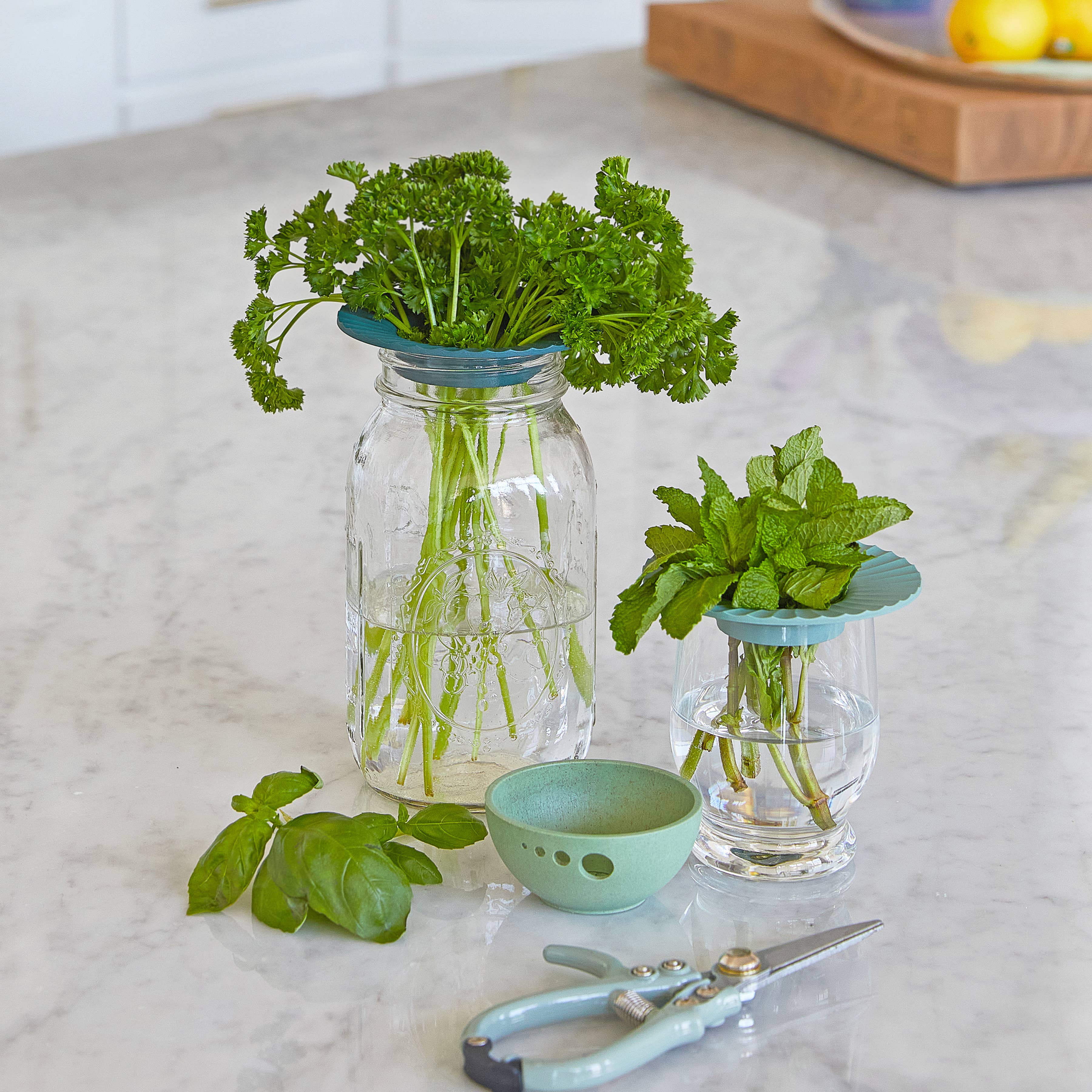 Modern Sprout - Wholesale Plant Pot - Produce Keepers - Set of 26