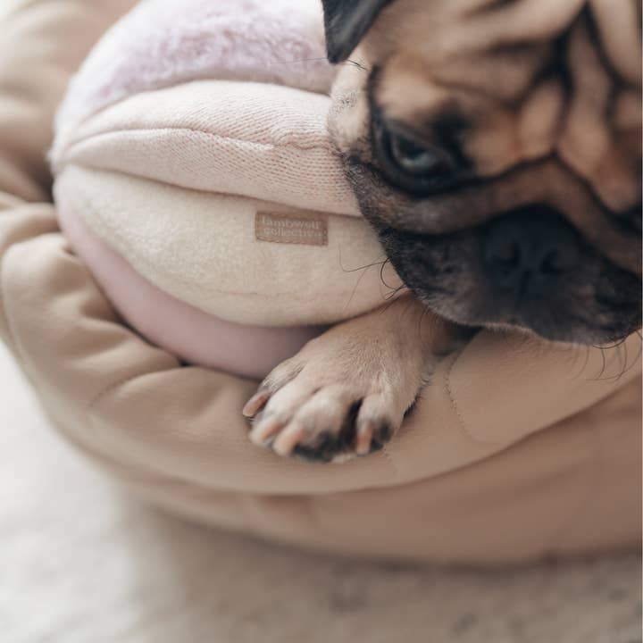 Lambwolf EU - Wholesale Pet Toy - Dog - TOTO //Enrichment Toy 5