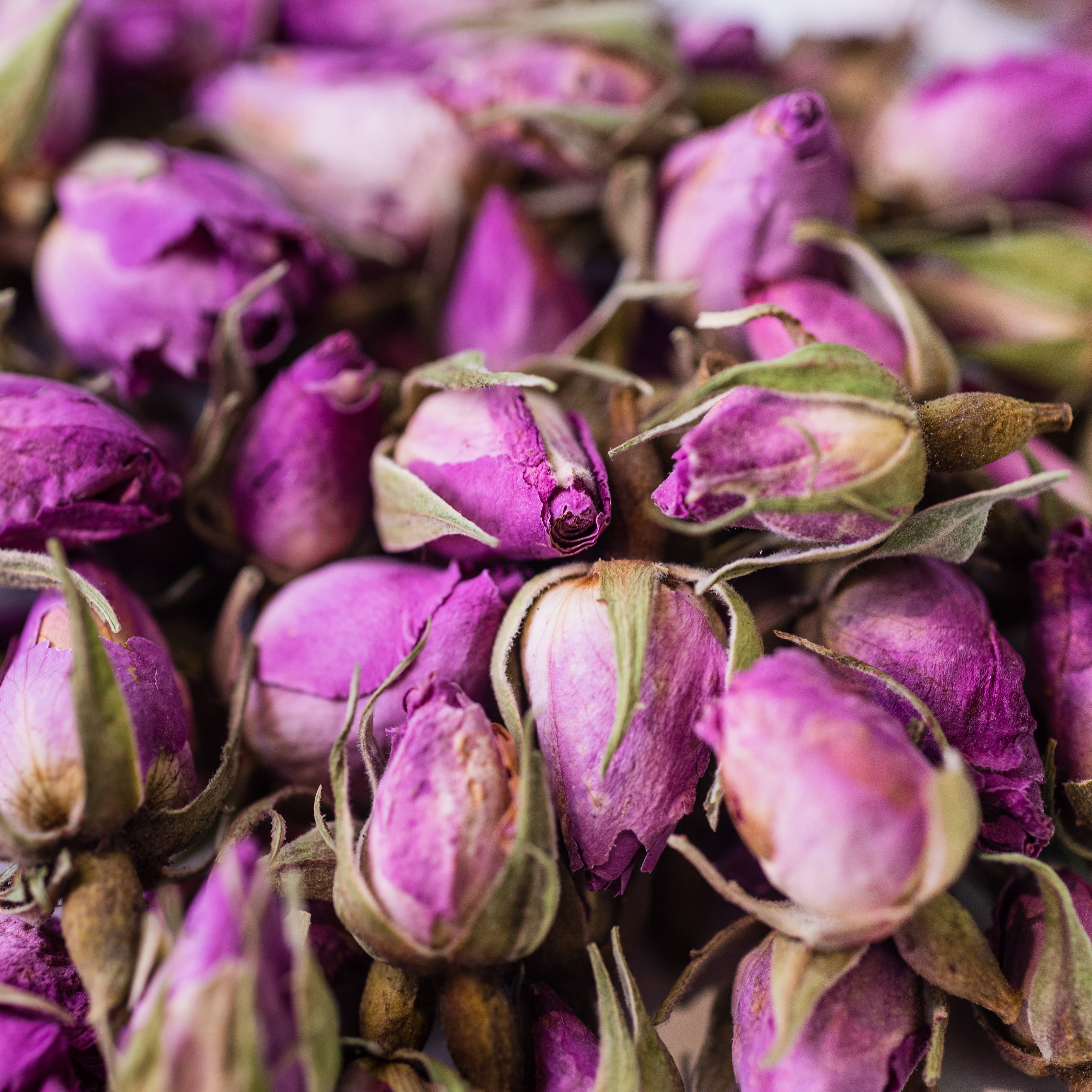 LE COMPTOIR D'HERBORISTERIE - Wholesale Health/Detox Tea - ORGANIC DAMASK ROSE INFUSION BUTTON 20G1