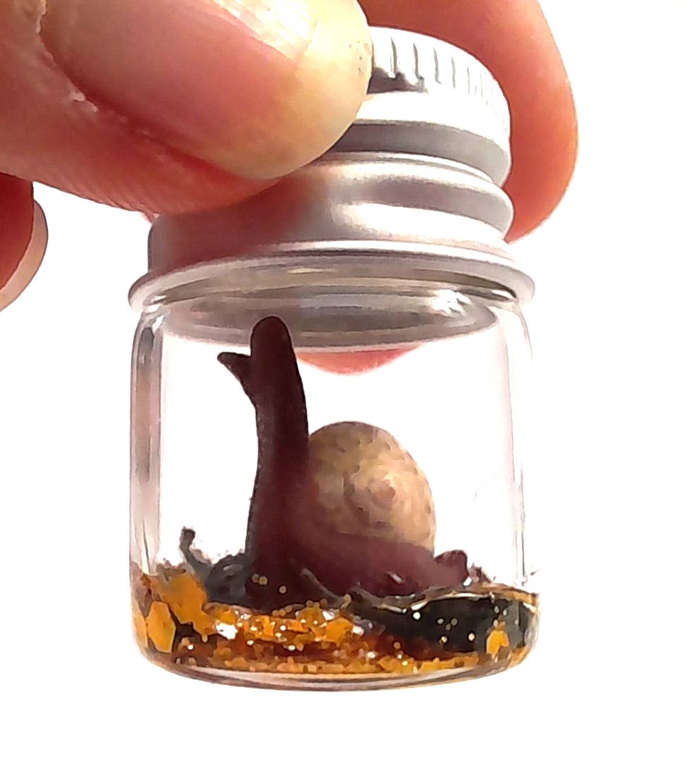SUPERAWWWSOME - Wholesale Gag Gift/Novelty Gift - Snail Specimen Bottle, Dollhouse Miniature, nature gift jar0