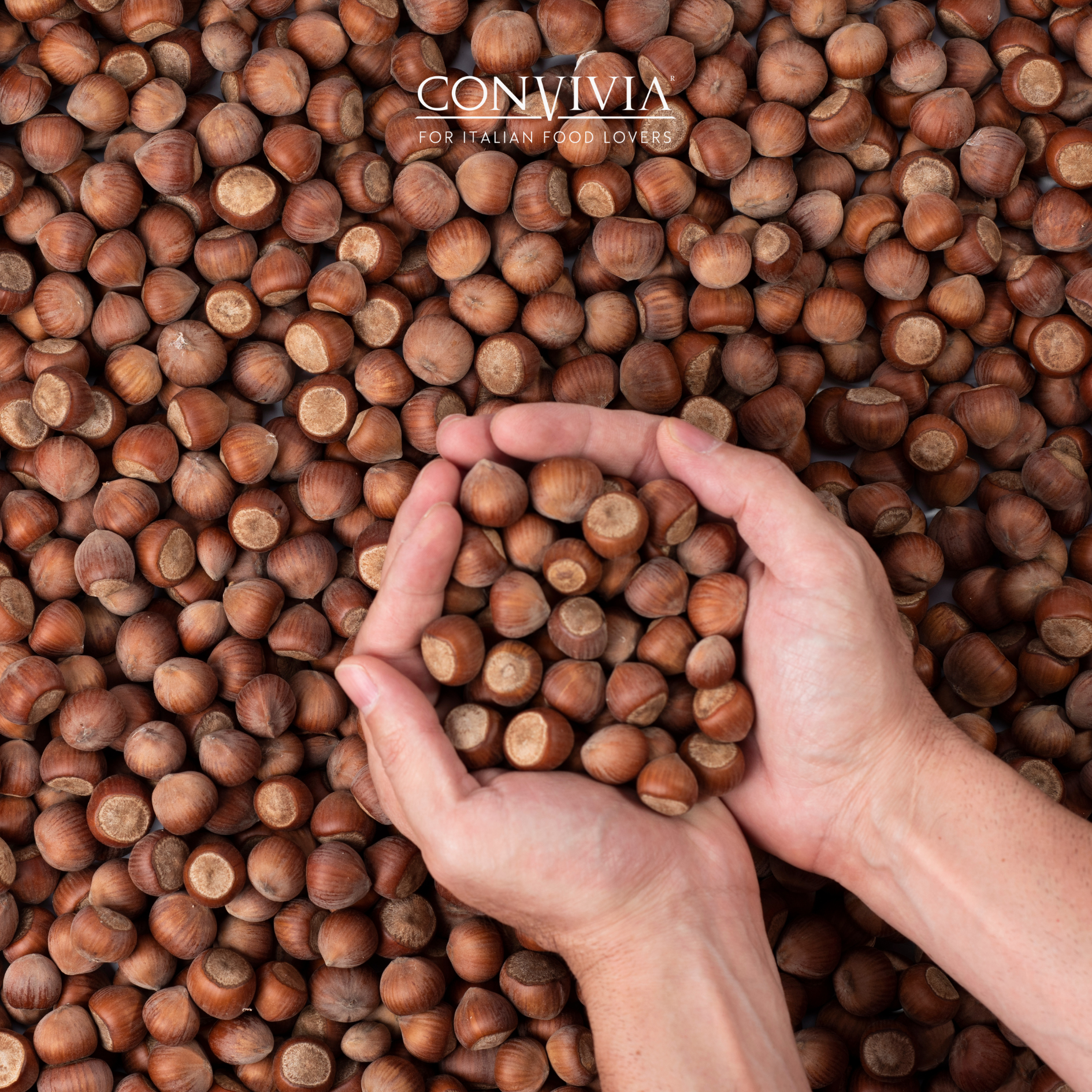 CONVIVIA for italian food lovers - Wholesale Nut Butter - Organic sweet hazelnut cream 190g3