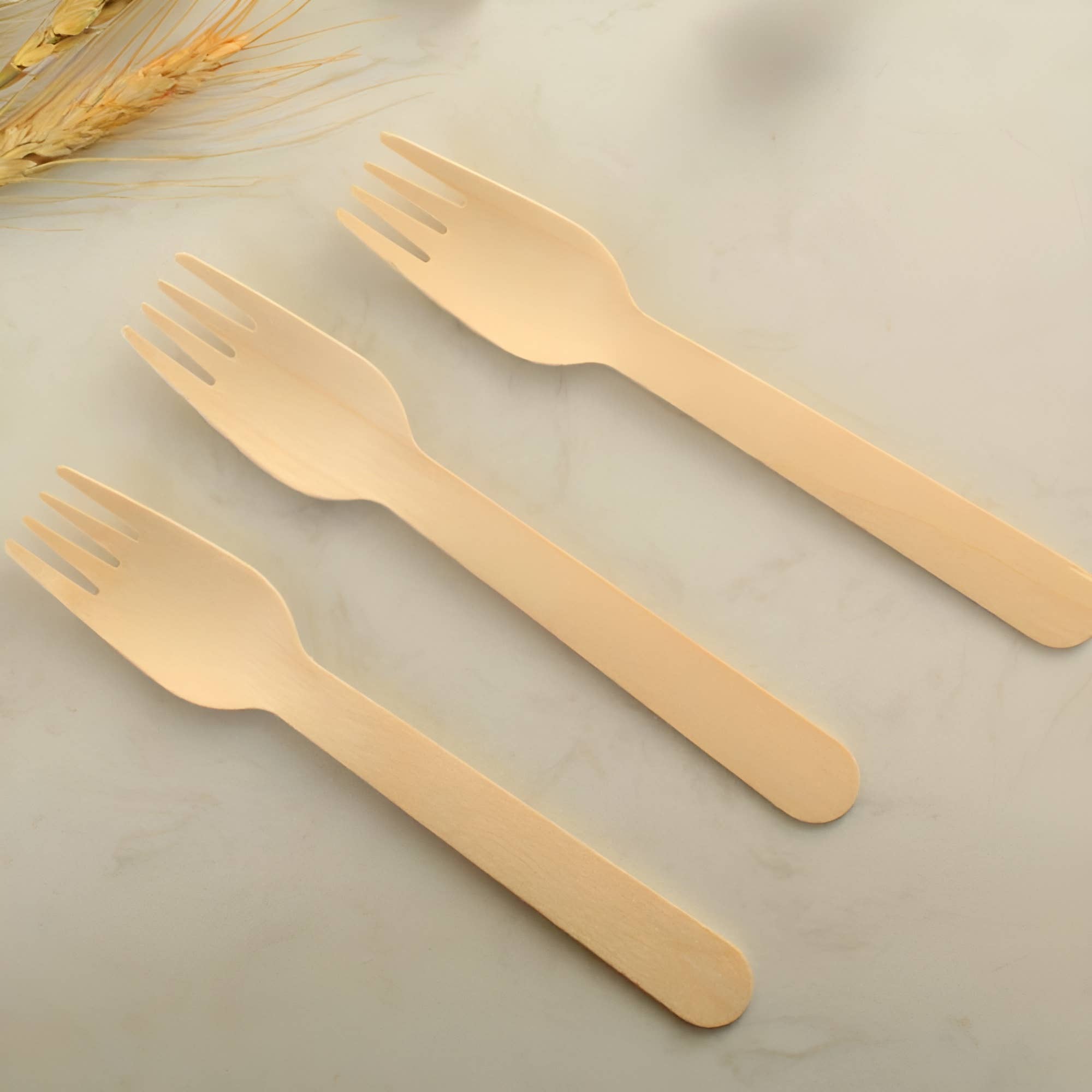 CLW Distributors INC - Wholesale Disposable Servingware Set - Disposable Wooden Forks 6.3" Length - Pack of 1001