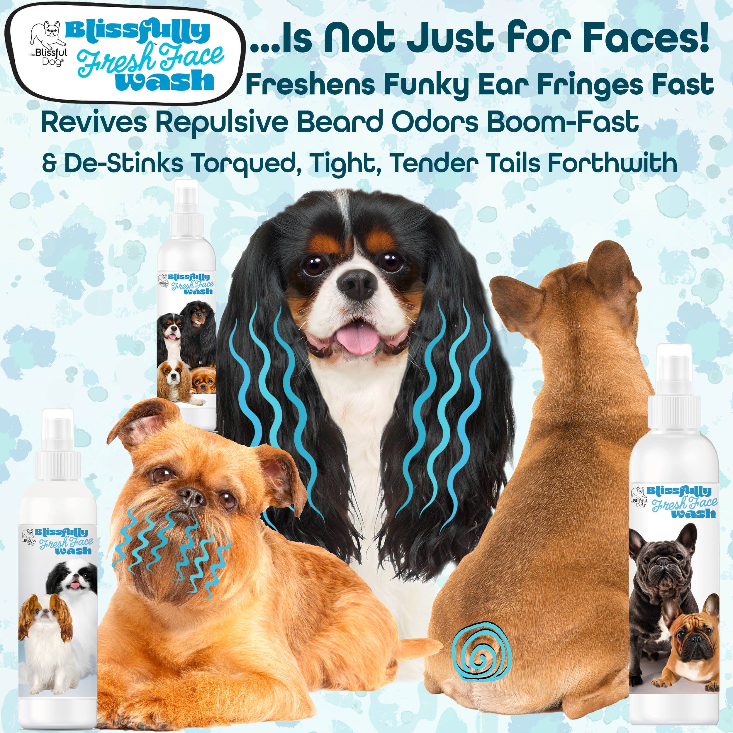 The Blissful Dog - Wholesale Pet Cleaning Supplies - Blissfully Fresh Face Wash I 4, 8 & 16 oz3