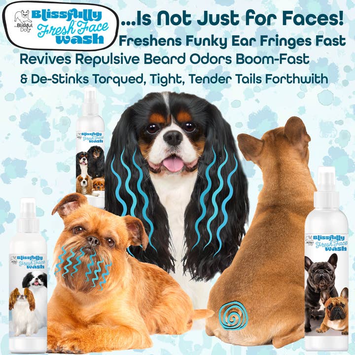 The Blissful Dog - Wholesale Pet cleaning supplies - Blissfully Fresh Face Wash I 4, 8 & 16 oz3