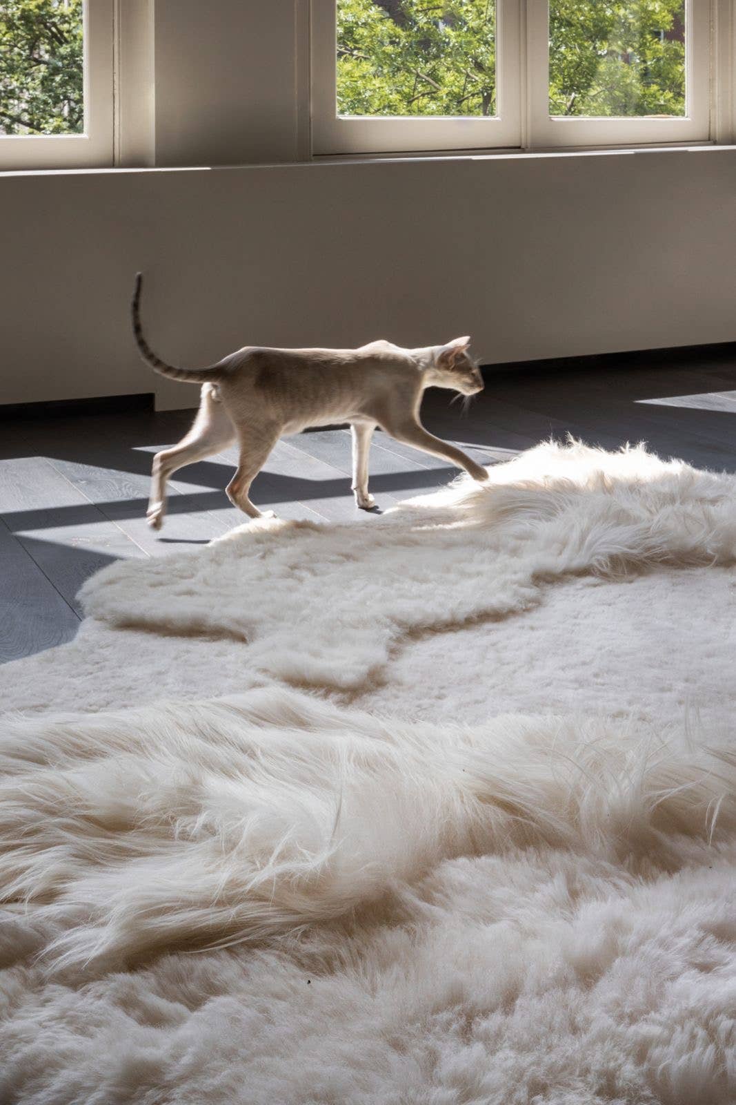 DYRESKINN® – Tapete por atacado – Tapete multilayered, nosso melhor tapete desde 2013 (por m²)1