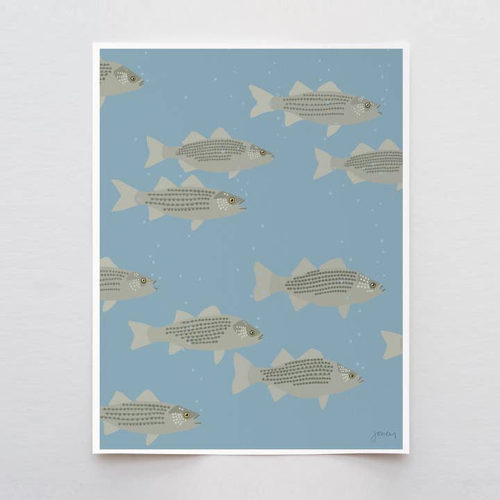 Striped Bass Art Print. Signed. Unframed. 240922 for wholesale by Jorey Hurley