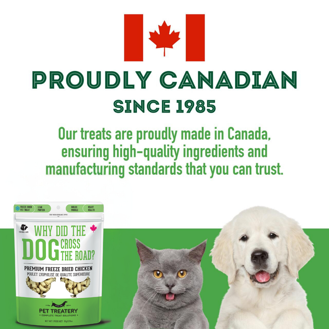 The Granville Island Pet Treatery (Canada) - Vente Friandises – chien - Friandises lyophilisées au poulet pour animaux de compagnie : riches en protéines et en nutriments8