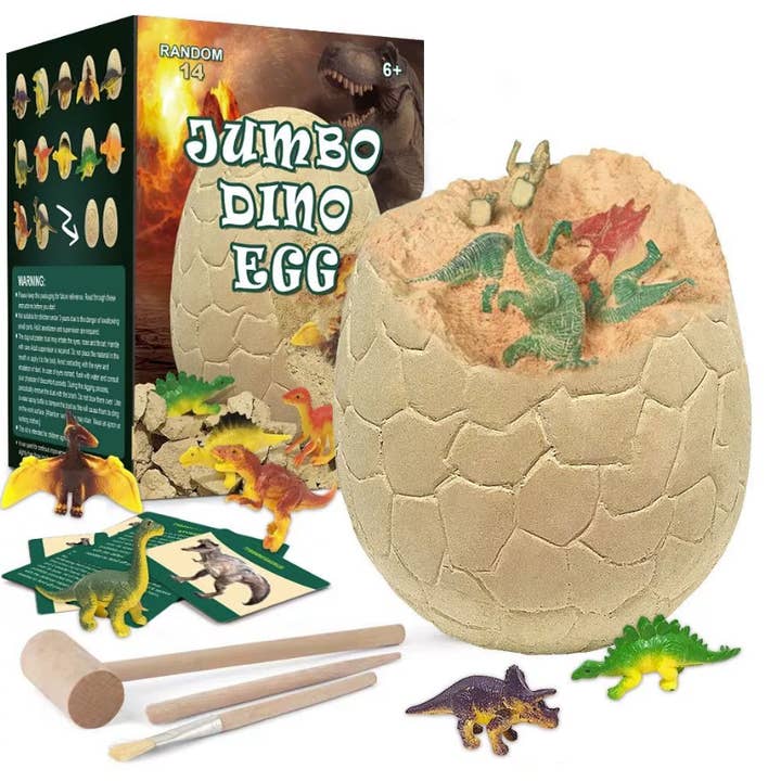 VIGOR - Wholesale DIY Craft Kit - Kids - Fossil Dig Kit - Excavate 12 Prehistoric Fossils1